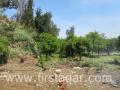 land for sale North-lebanon_ Bebnnine - Akkar